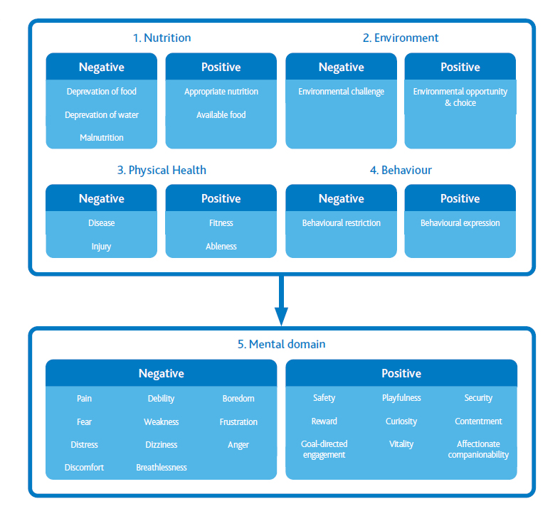 the five domains