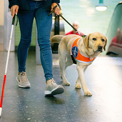 Guide dog assisting a blind traveller with a white cane in a train station.